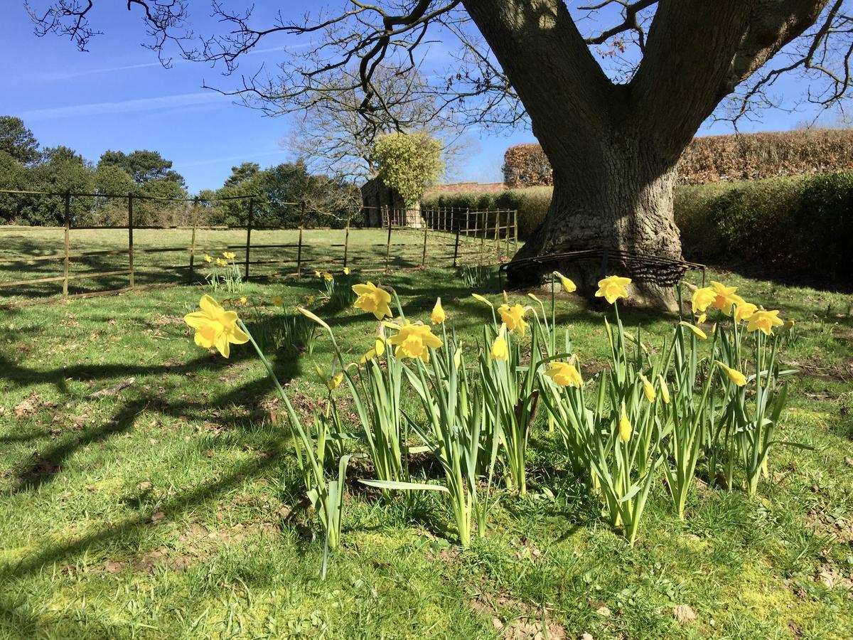 Country house The Wrea Head Hall & Restaurant Scarborough